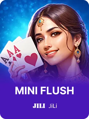 MINI FLUSH game guide