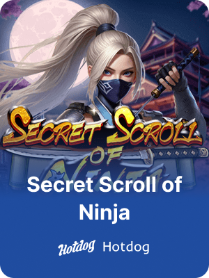 Secret Scroll Of Ninja game guide